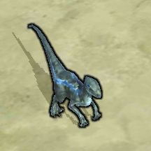 ����������Ϸ