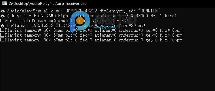 ������˷�����AudioRelay+������