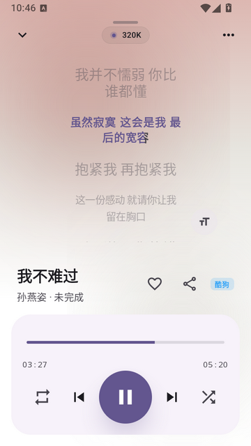 DPmusic���ֲ�����