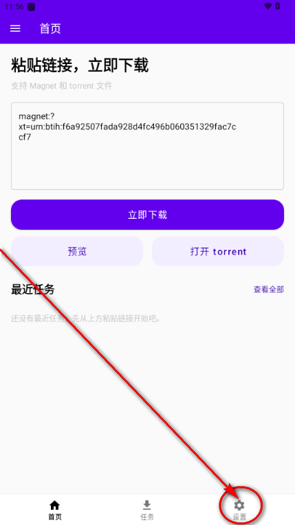 Torrent�������ع���