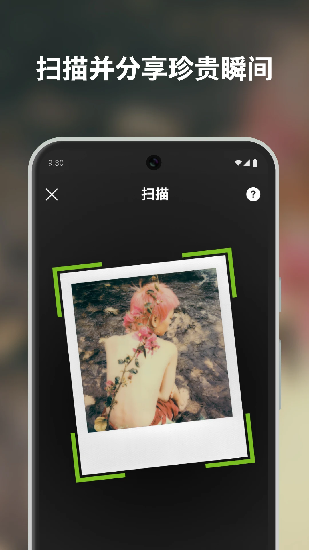 ������(Polaroid)��ͼ