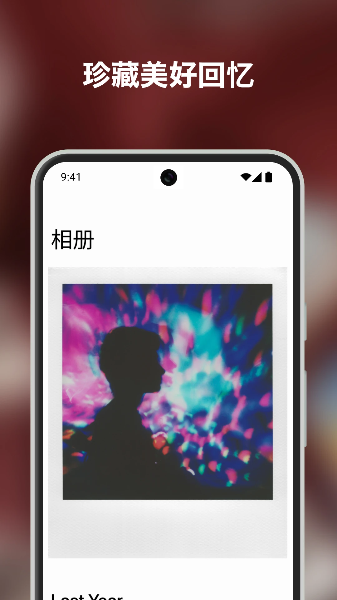 ������(Polaroid)��ͼ