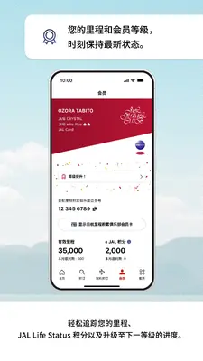�ձ�����(Japan Airlines)��ͼ5