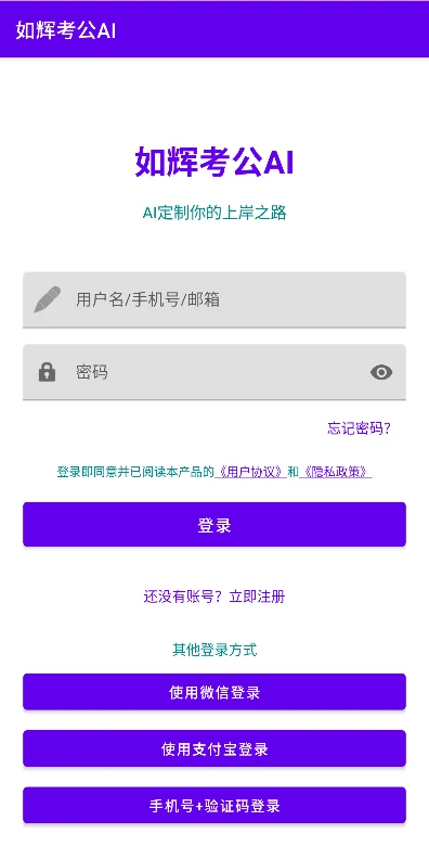 如辉考公AI截图