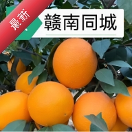 ����ͬ��16.5.0 �����������