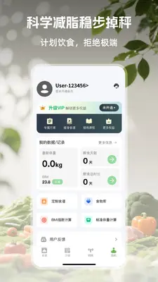 ��Ҷ���ʳ��ͼ2