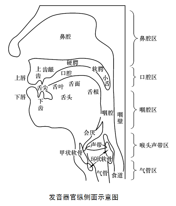 归音 安卓版 使用教程