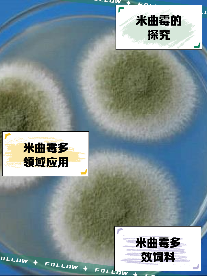 水费电费计算管家 安卓版 历史记录查询