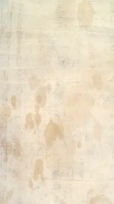 ���ܷ����ͼ2