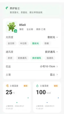 青芒牛守望者截图4