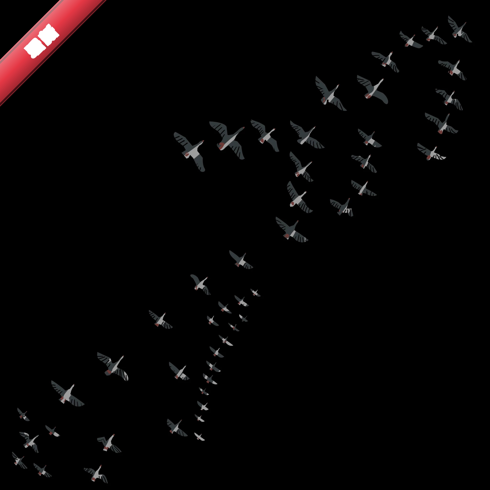 Seestar3.4.0 �������Ĺ۲�