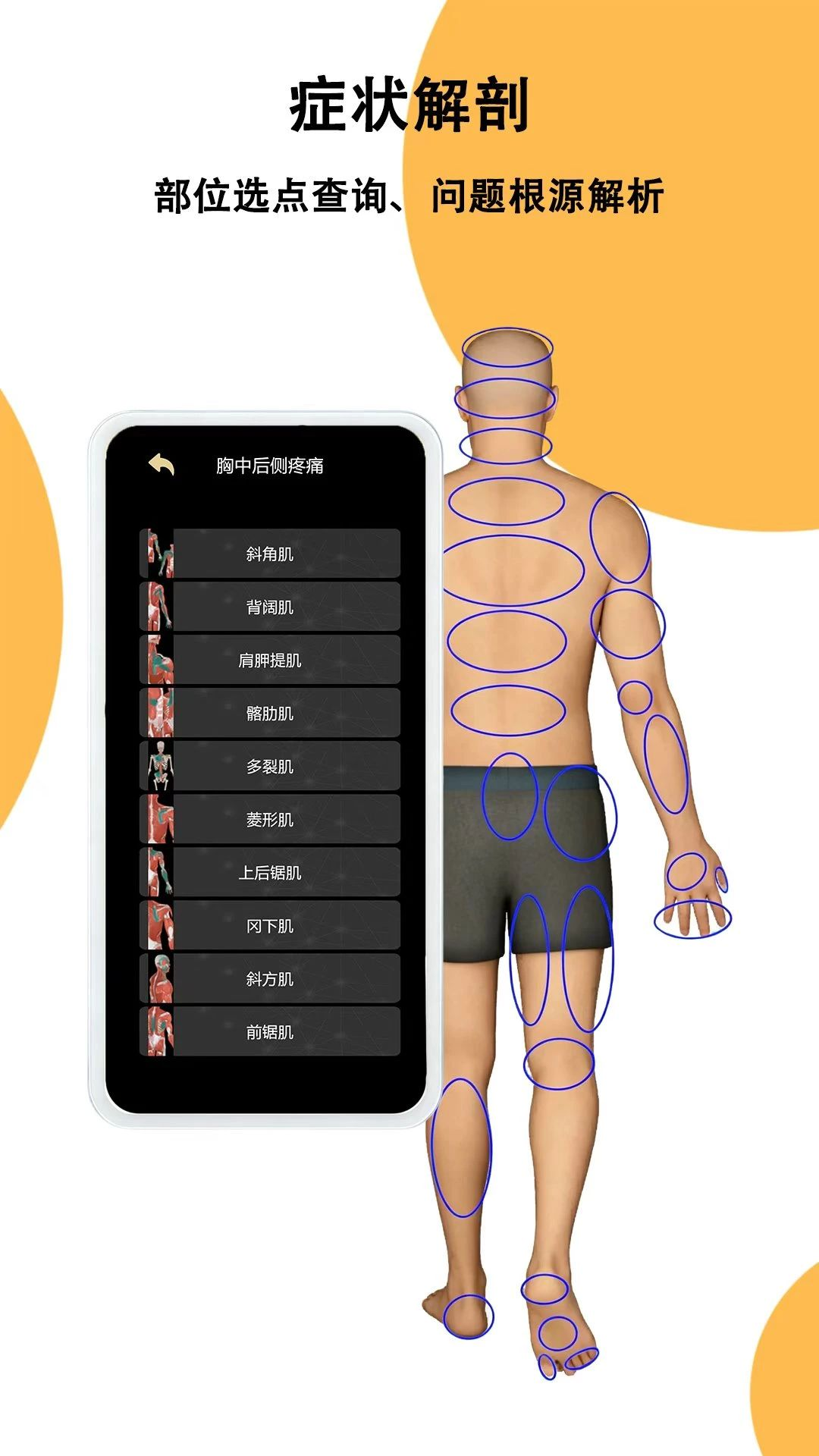 鑫傲然截图