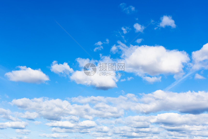 青云汇 安卓版 志愿填报界面