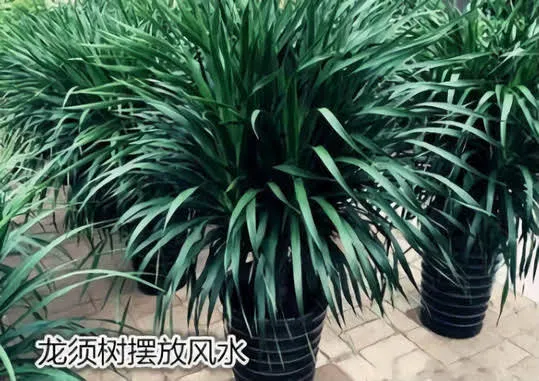 �������� ��׿�� ���̽����ͼ