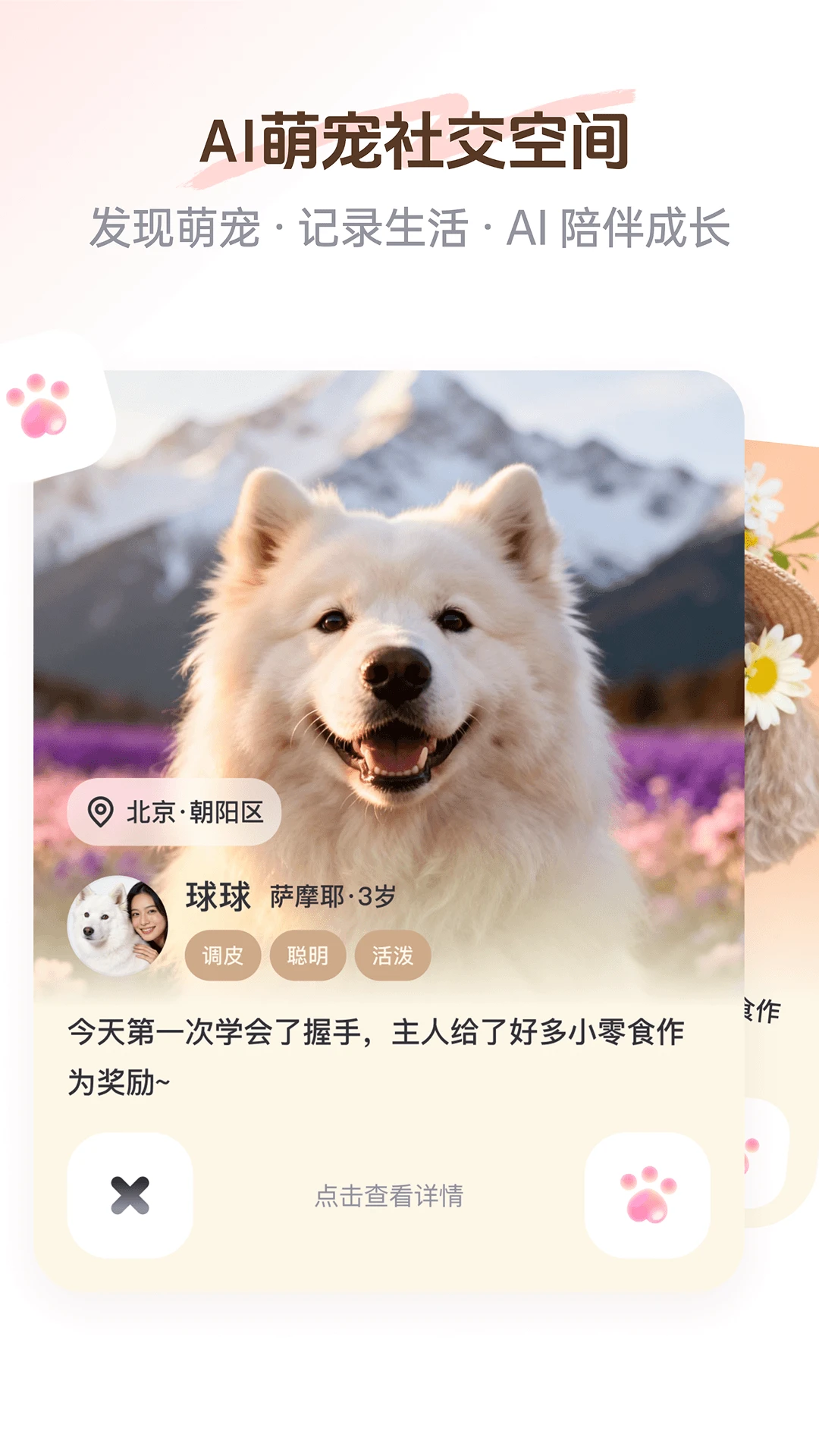 PetSpace��ͼ