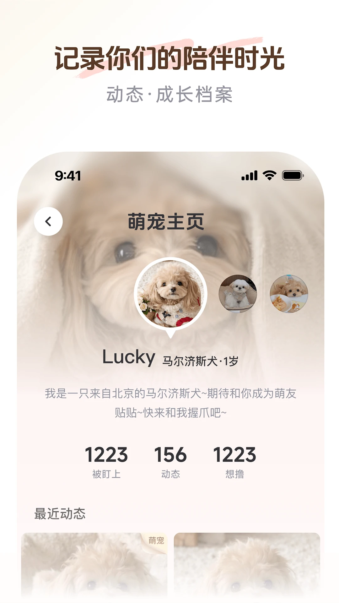 PetSpace��ͼ