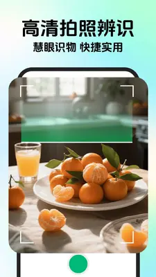 ����ʶ������ͼ2