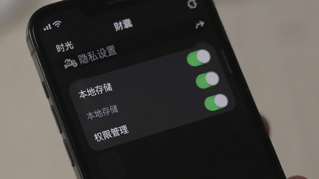 手机屏幕显示“时光财囊”隐私设置页面,界面中有“本地存储”“权限管理”等选项开关,背景为深色模式,风格沉稳简洁,画质干净无杂乱