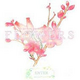 FLOWERS��ƪ�������İ�v1.0.9 ���°�