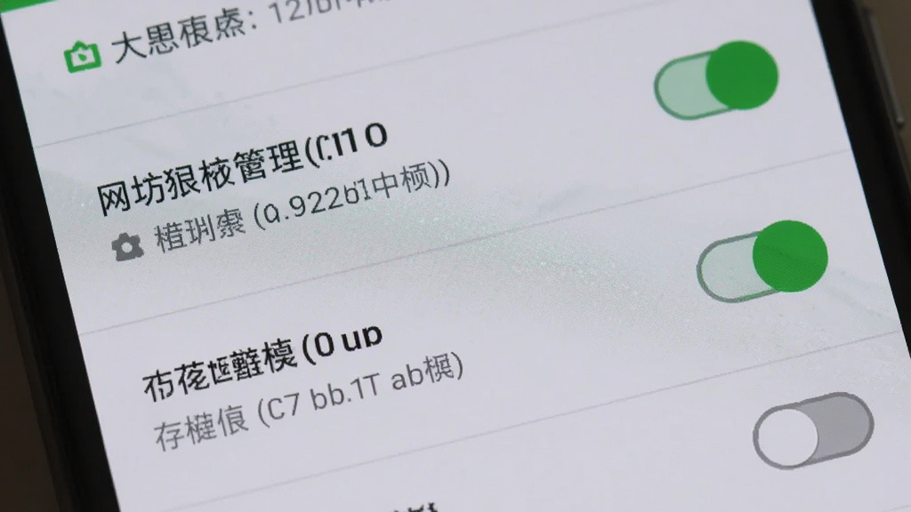 主体为一部手机屏幕特写,显示应用权限管理界面,界面中包含网络权限与存储权限的开关按钮,布局为竖向列表结构,风格为安卓系统设置页面风格,细节包括开关状态用绿色与灰色区分,背景为浅灰色,画质清晰干净,无多余元素