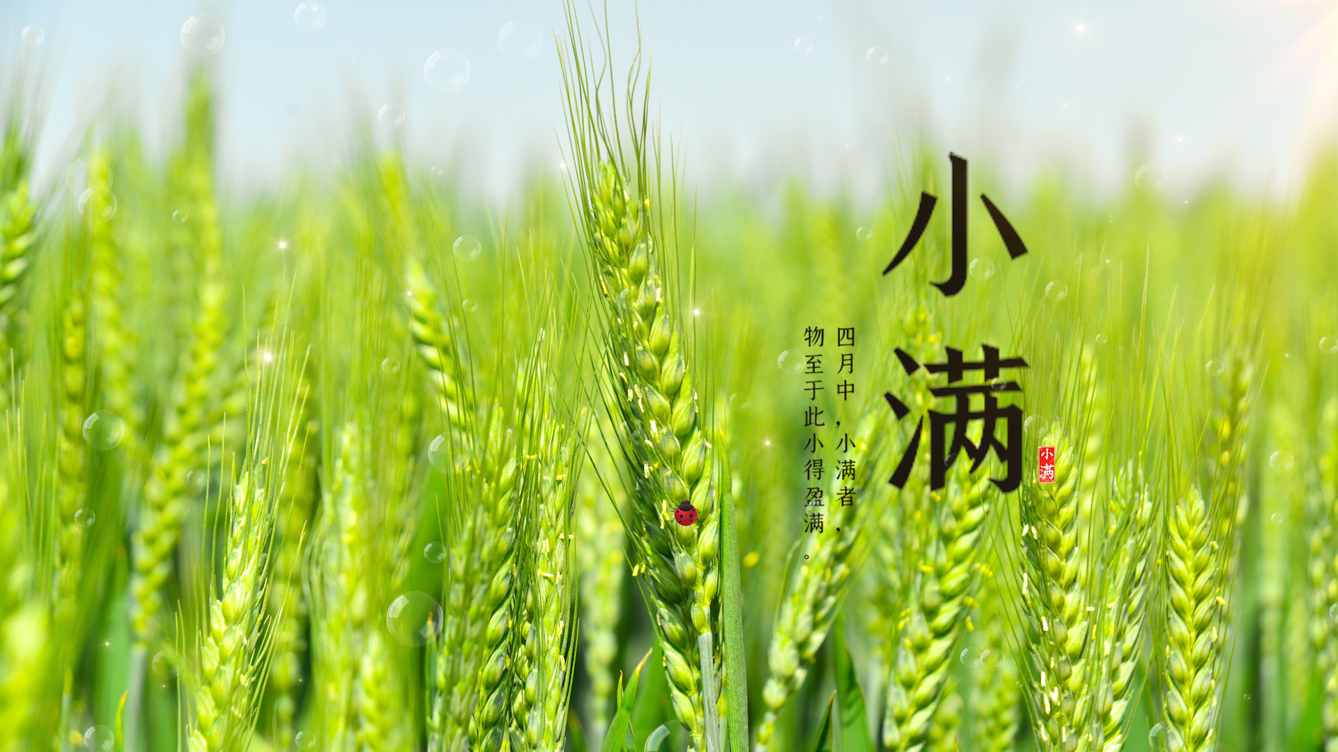 小满租借管理 安卓版 订单登记界面