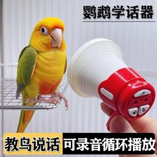 ���ĸ��� ��׿�� ¼���طŹ���