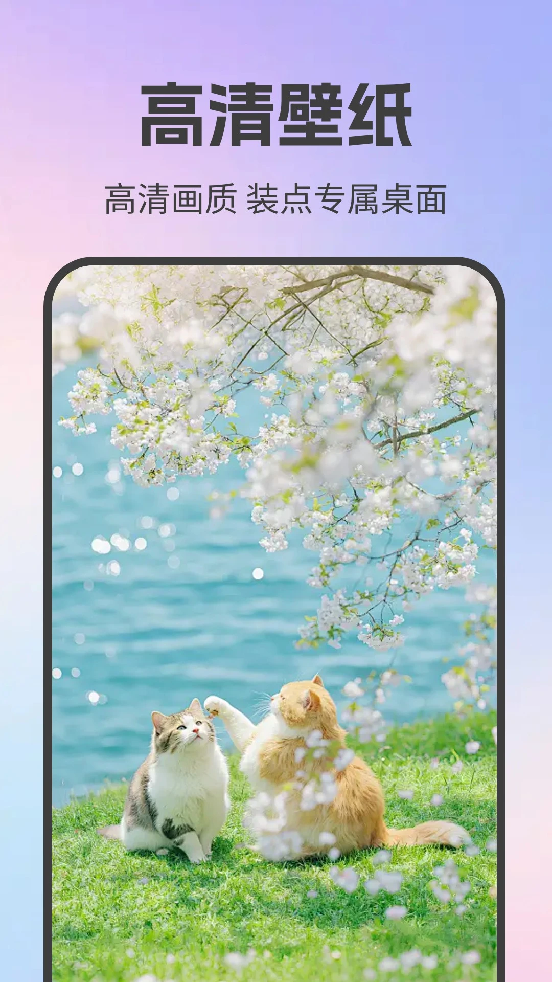 ��Ѷ�̬��ֽ�����ͼ