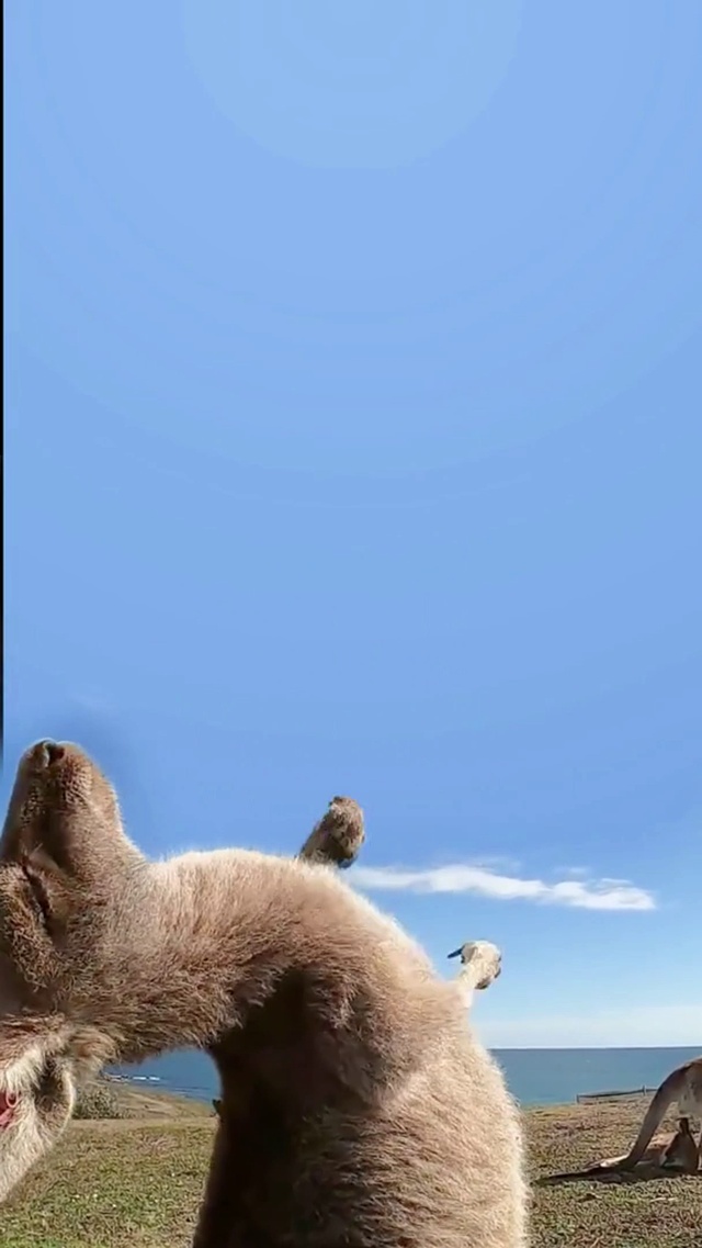 �����ֽ��׿�涯̬��ֽ���ý���