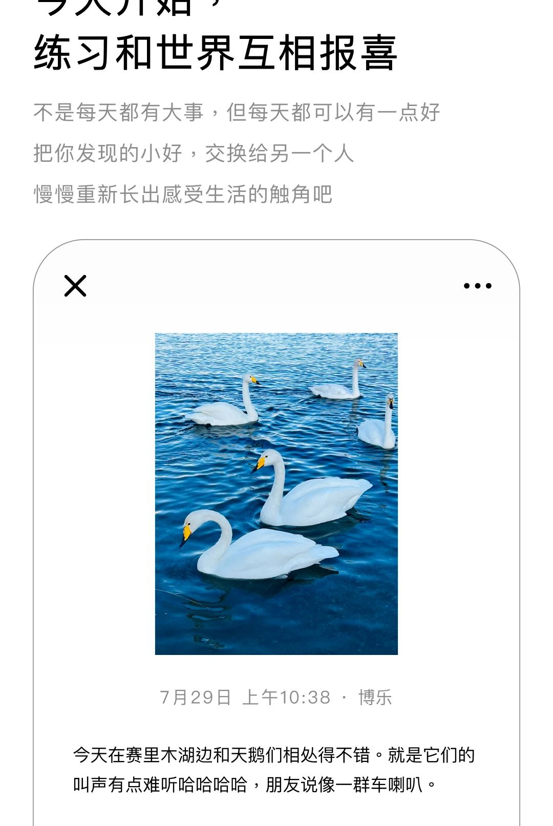 ����Ϣapp�����ͼ