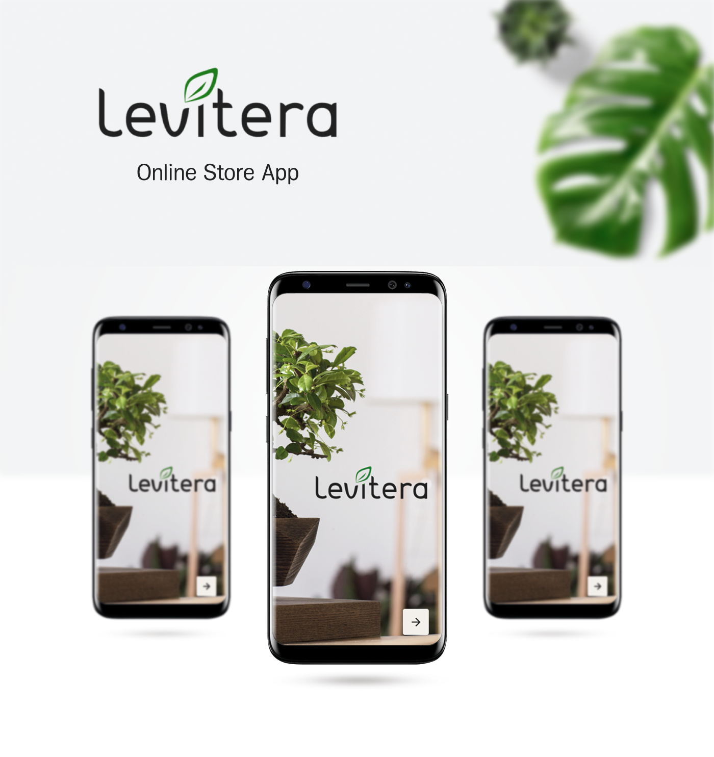 Levyra ��׿�� ���Ž���