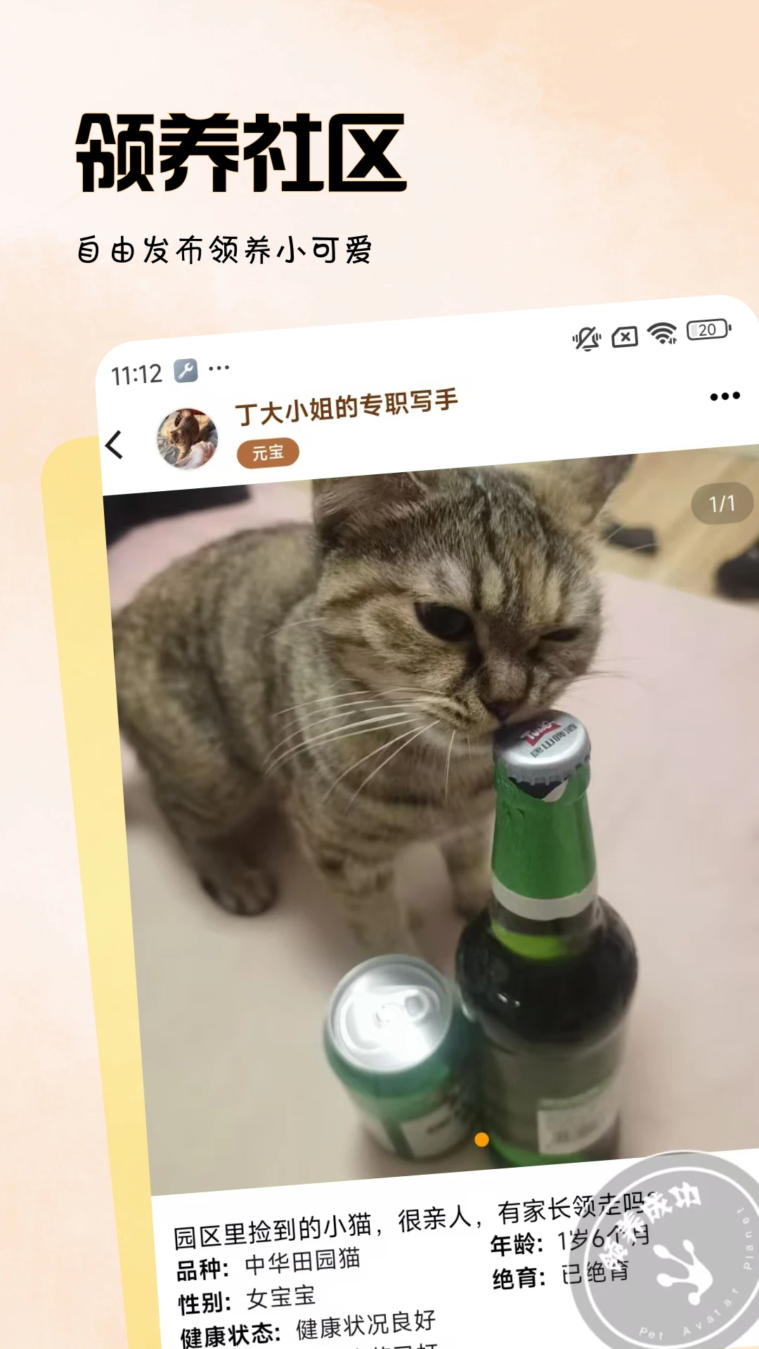 拟人星球截图