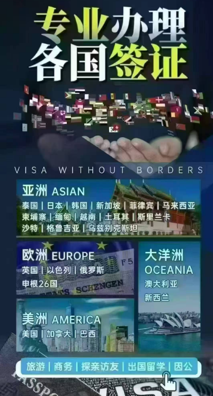 出境签证通 安卓版 签证办理界面