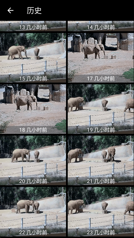 Live Camera实时摄像头 Live Camera实时摄像头