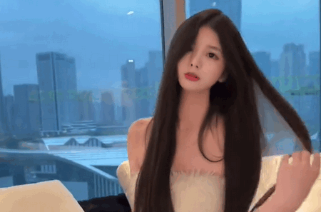 AhaTik Downloader下载器 AhaTik Downloader下载器