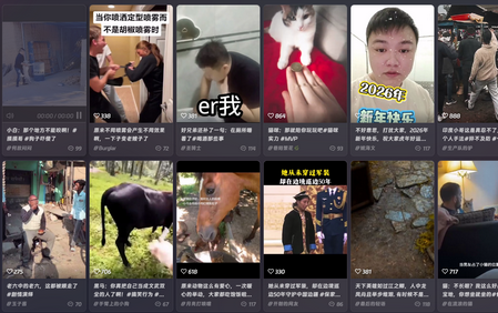 ����޶���Ƶ