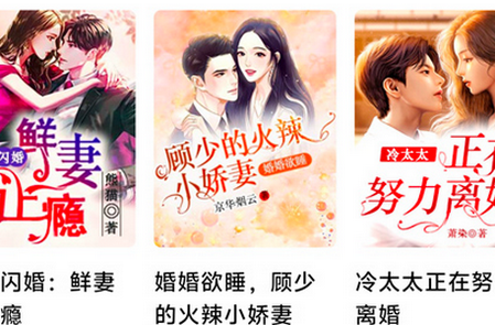 �������С˵��ȫ