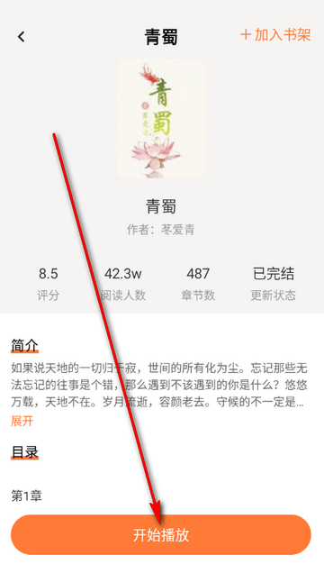 ���С˵��������С˵