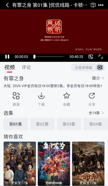 ������Ƶ׷������