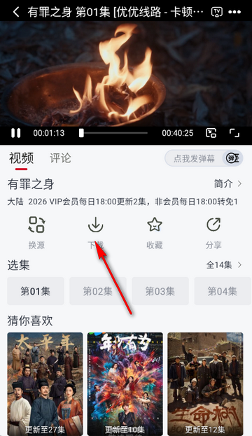 ������Ƶ׷������