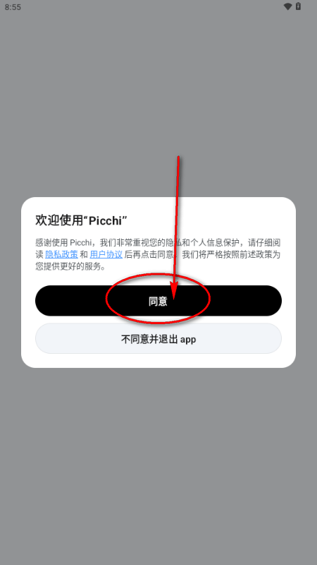 Picchi AI