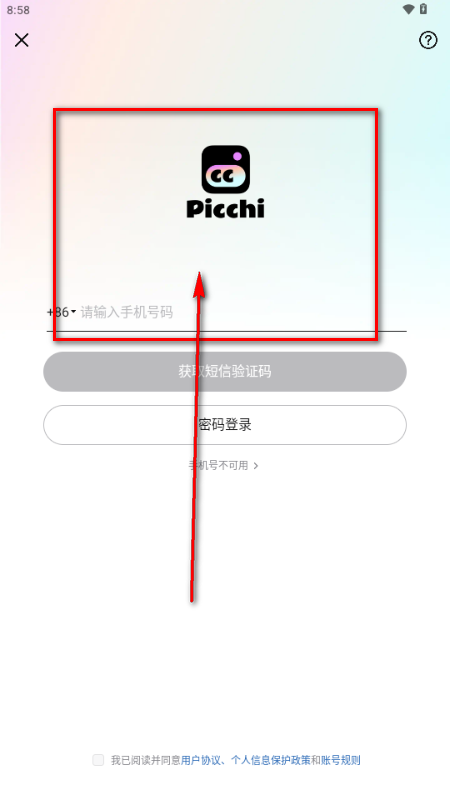 Picchi AI