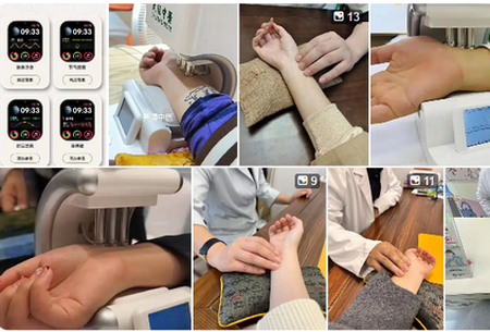 ����MaiWatch����