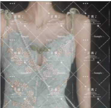 ȫ��ȥˮӡ��ʦ