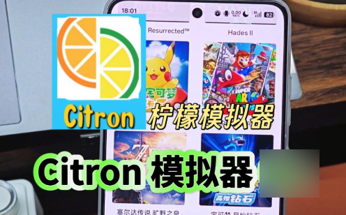 Citronģ����������