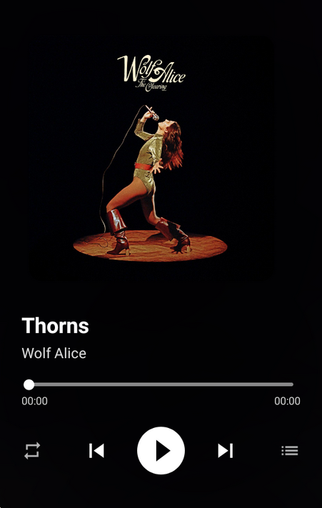 ����Music��Ա��