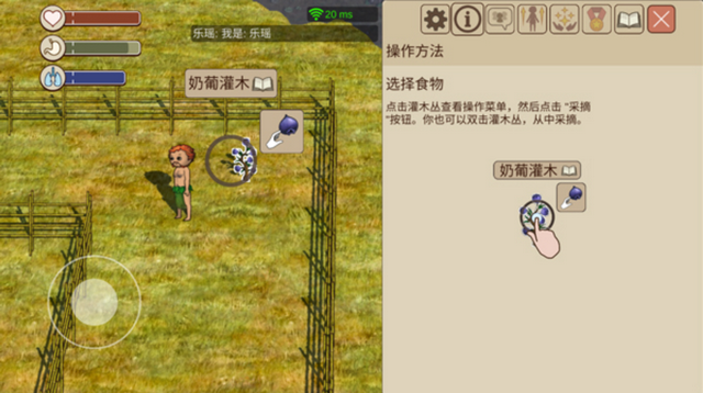 ����������Ϸ