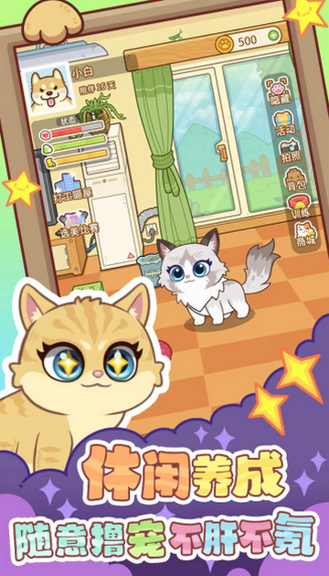 ��צ����Ϸ