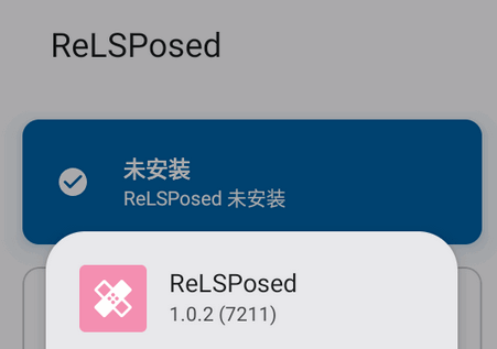 ReLSPosed���