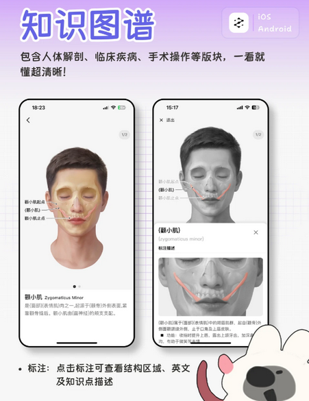 һĿ��֪���԰�