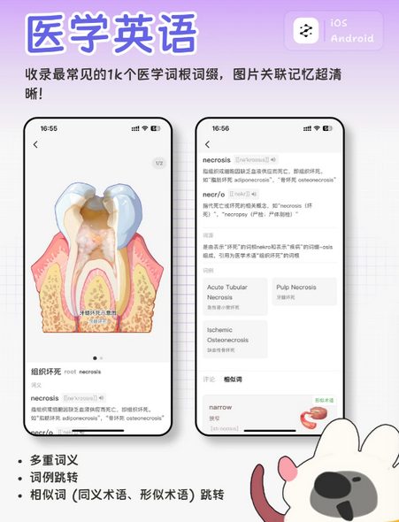 һĿ��֪���԰�